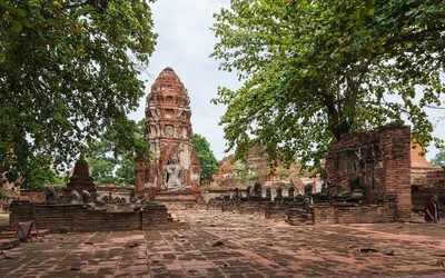 Ayutthaya: tempelruïne in het historische park van Ayutthaya